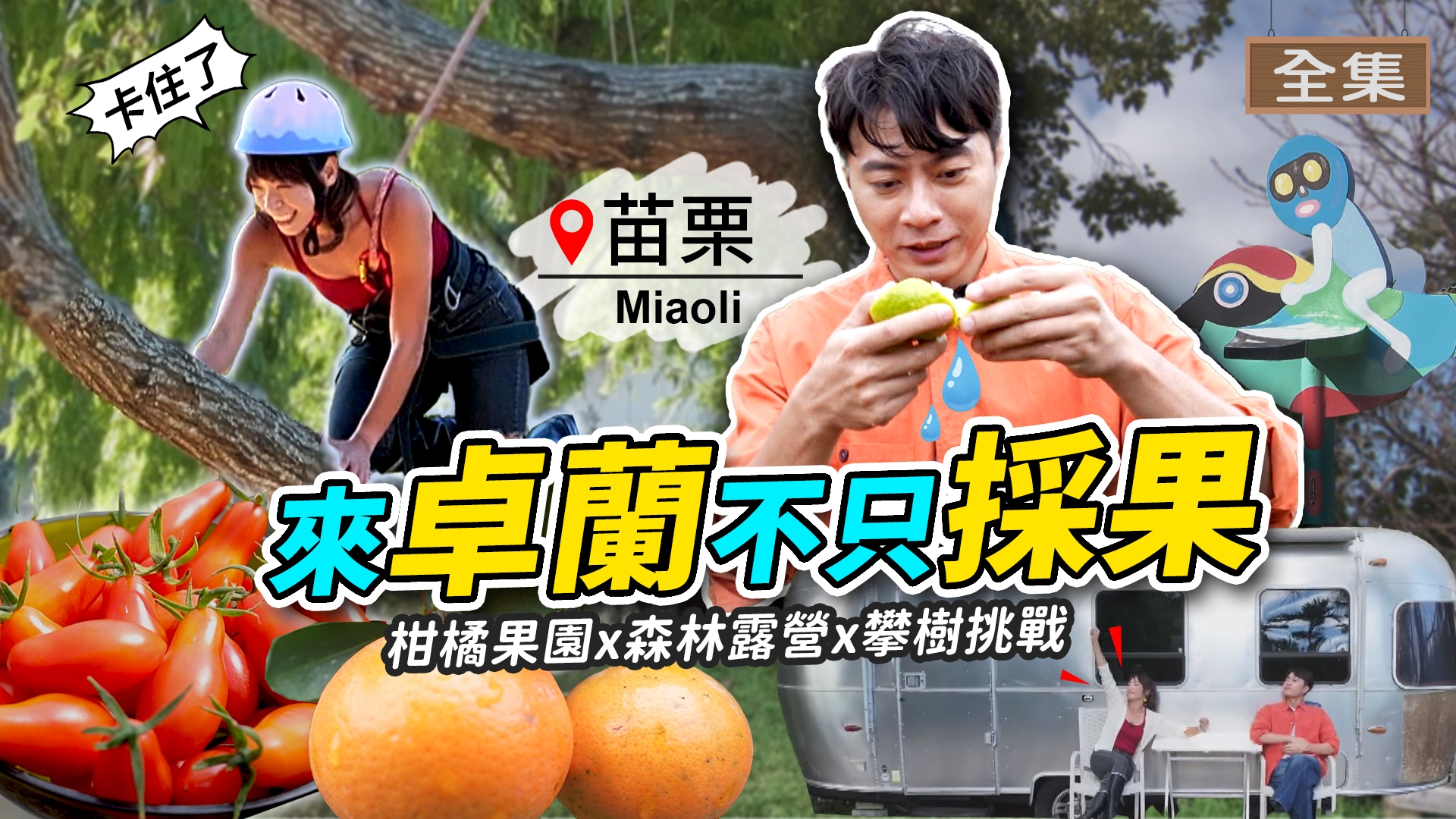 苗栗-卓蘭金牌農村